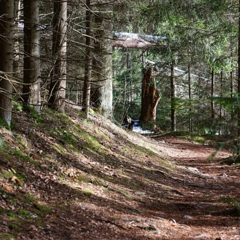 

4 шт. 1/8 4WD Nitro Off Road Багги Шины Колеса Шестигранный для Trxs1:8 Масштаб RC Car HSP HPI Kyosho ZD Hongnuo Redcat Пляжная шина