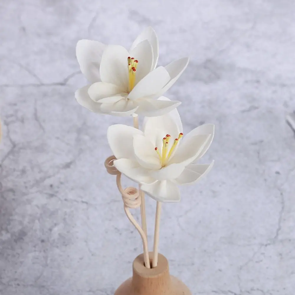 

Lasting Dyeable Handmade Fragrance For Home Volatile Living Room Tongcao Flower Aromatic Incense Dried Flowers Diffuser Sticks
