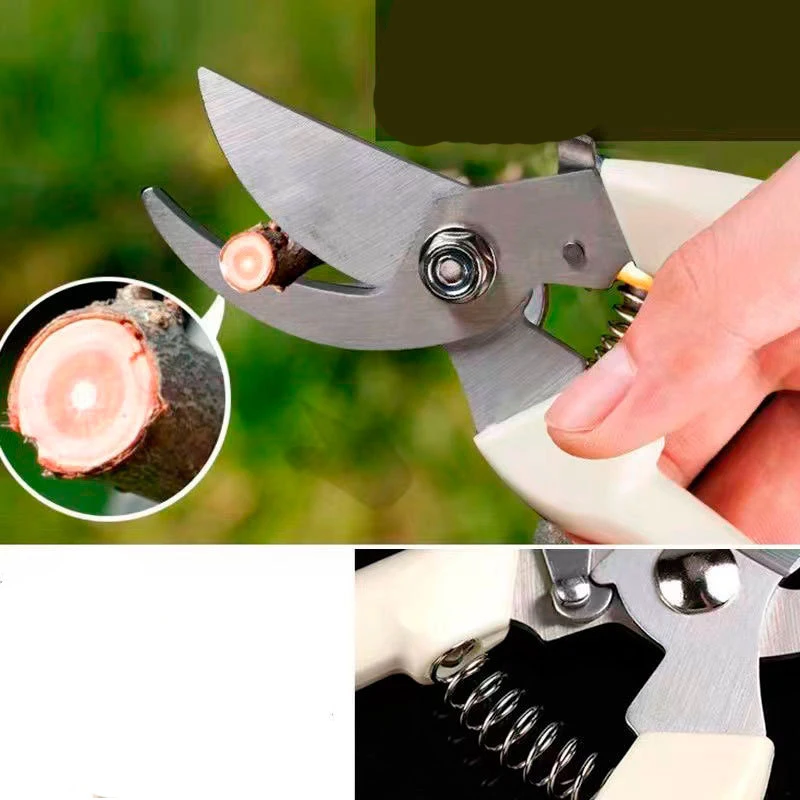 Garden Pruning Scissors Are Special Tools for Pruning Flower Branches and Fruit Trees Saving Effort