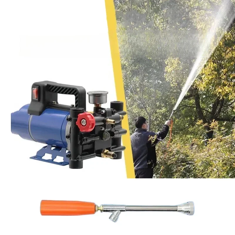 Agricultural Sprayer High Pressure Pump  Water Spraying Car Wash Irrigation Plunger Pump Double Cylinder 12V/24V/48V/60V/72V/220