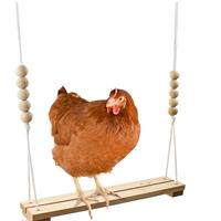 Wooden Chicken Swing Toy Parrots Perch Stand Hanging Bird Cage Accessories for Macaw Cockatiels Conures Finches Bird Supplies
