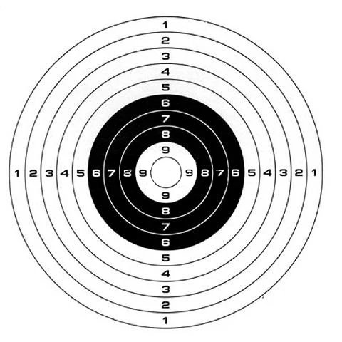 100Pcsx17*17cm Hard Coated Paper target fit for most Pellet Trap.Smooth surface with fresh and clean colors.