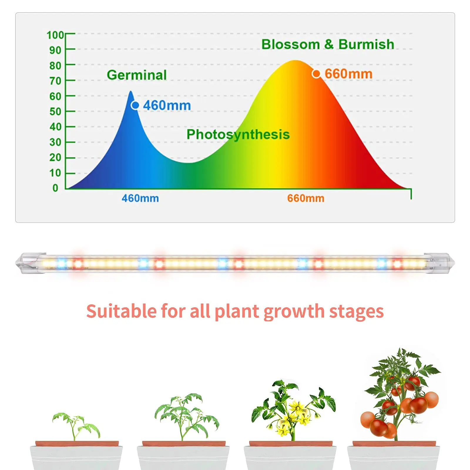مصباح نباتي مع شريط مؤقت ، LED كامل الطيف ، أحمر وأزرق ، 10 مستويات قابلة للتعتيم لخيمة الدفيئة
