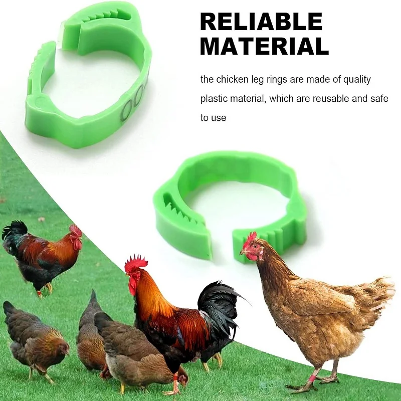 

100PC Adjustable Poultry Bird Paw Rings Numbered Foot Label Bands For Home Farm Pigeon Duck Goose Chicken Identification Clip-on
