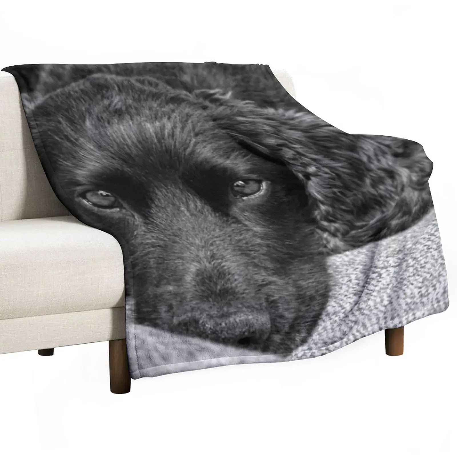 

New Bob the Dog Throw Blanket Soft Plaid Summer Decorative Beds Flannel Fabric Blankets
