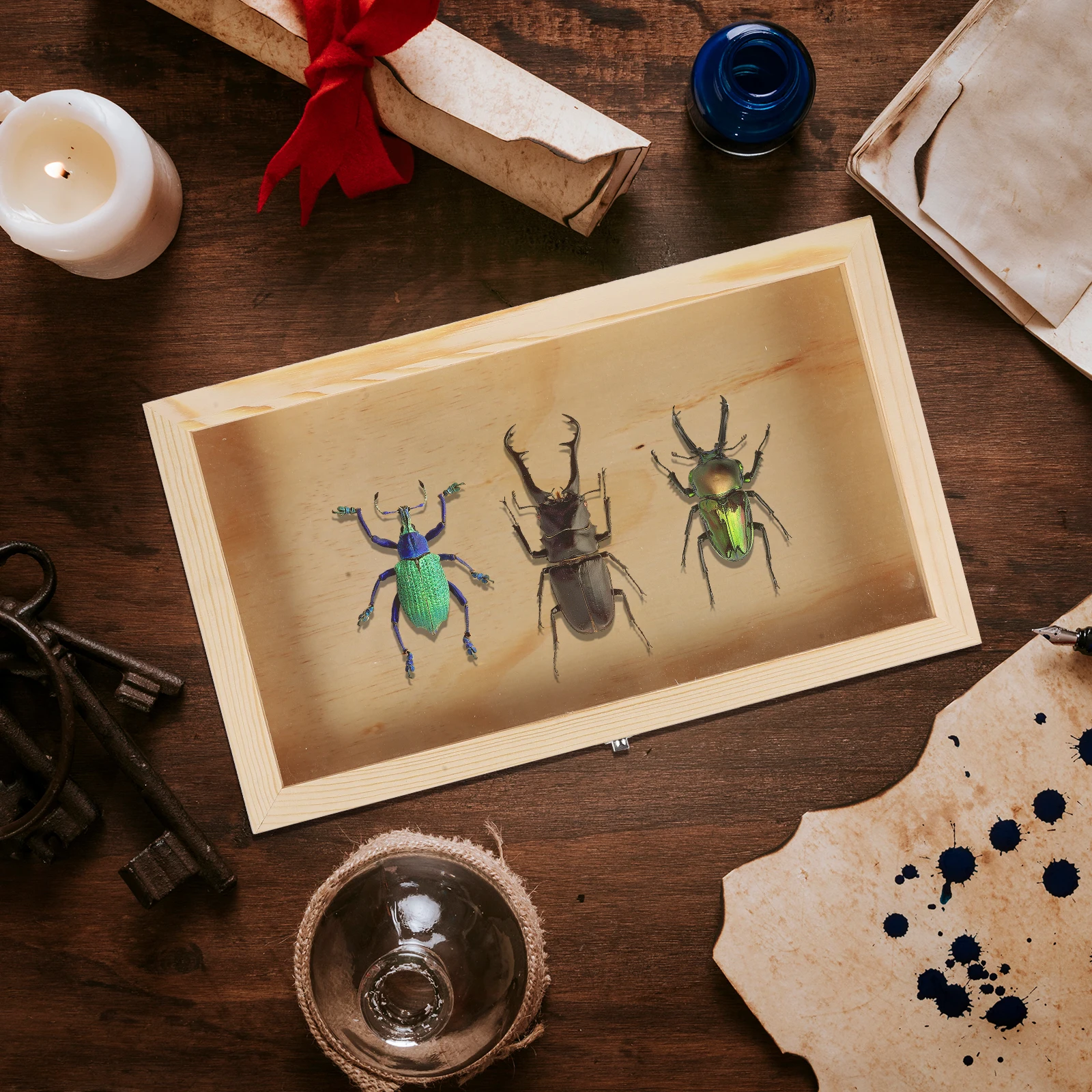 

Premium Wooden Display Case for Butterfly Specimen Storage Dustproof Transparent Lid Box for Jewelry