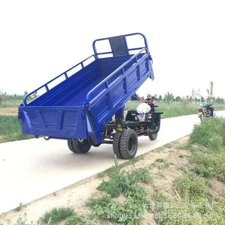 Triciclo de 250cc para pasajeros y carga, motocicleta de gasolina de combustible, tres ruedas, nuevo estilo