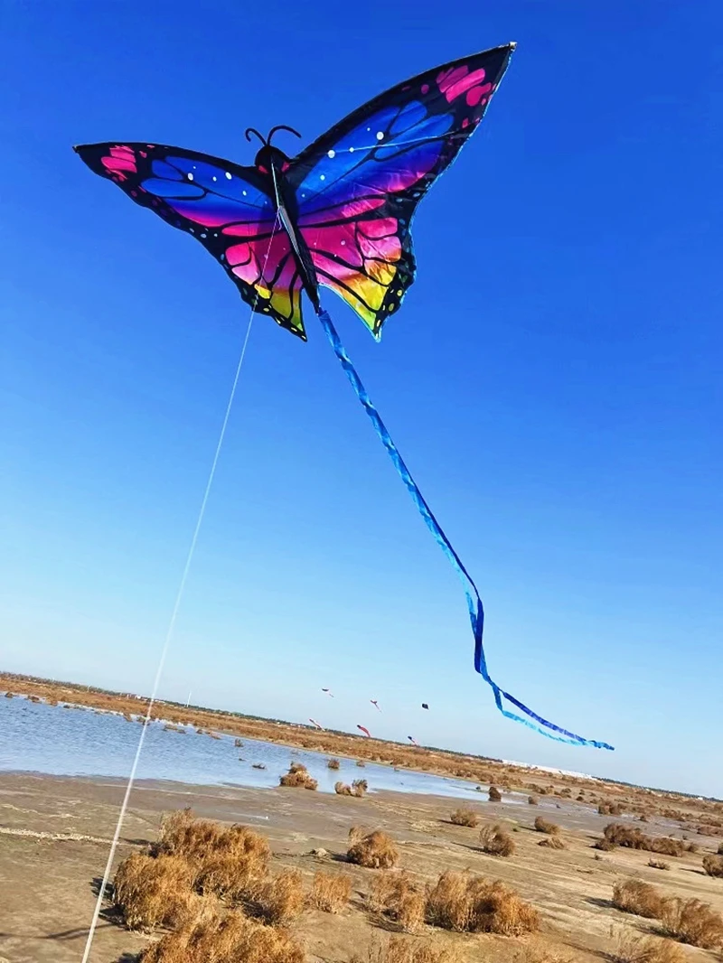 Butterfly Flying Nylon Kites for Kids, Professional Wind Kites, Brinquedos ao ar livre, Voo colorido, Fábrica, Frete Grátis