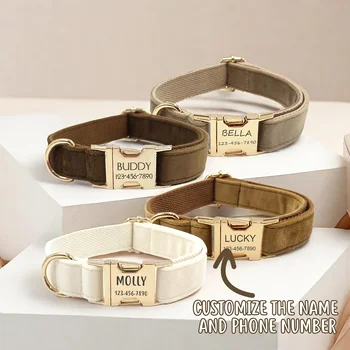 Personalized Velvet Dog Collar 1