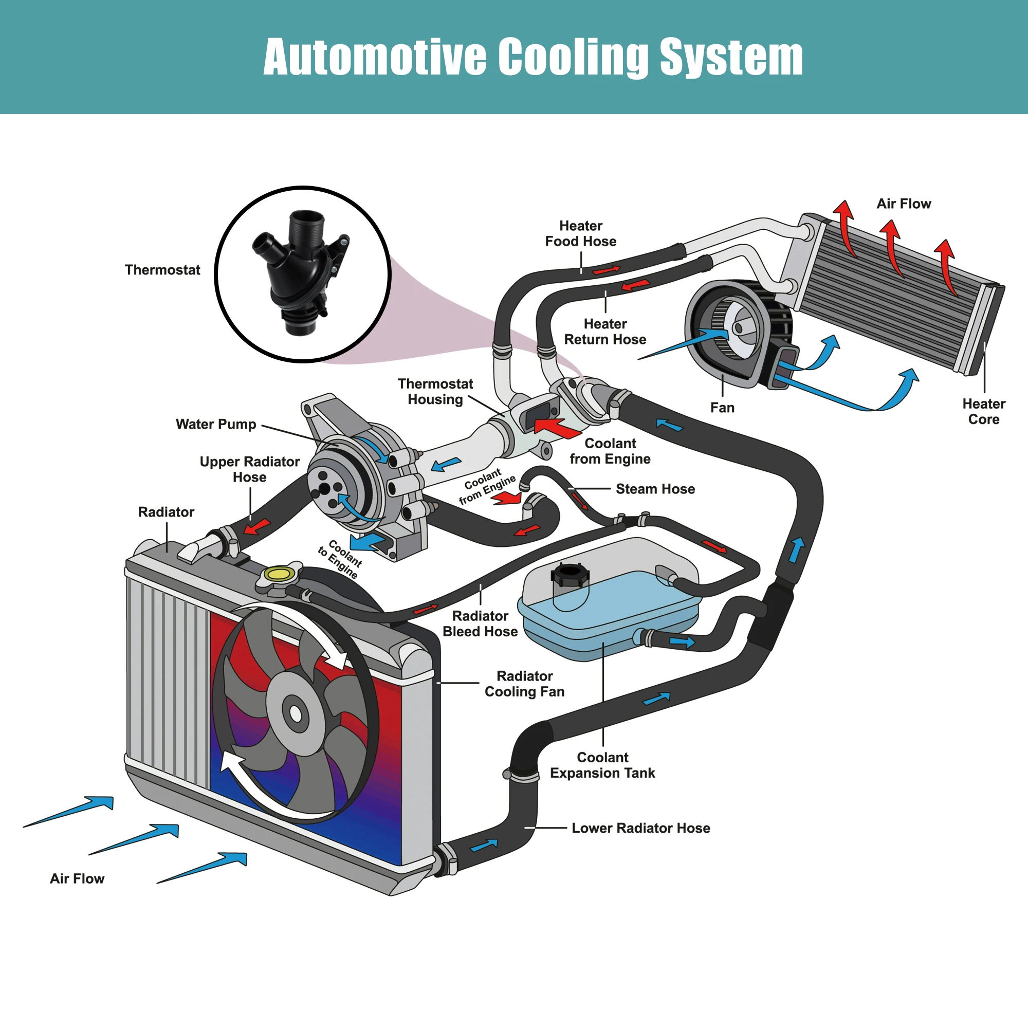 

X Autohaux 11538648791 Корпус термостата охлаждающей жидкости двигателя в сборе для BMW X1 2012-2017