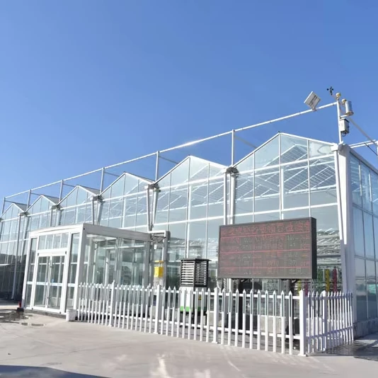 

Customized greenhouseCustom Agricultural Glass Greenhouse Turnkey Solutions Smart Climate Control for Commercial Farming