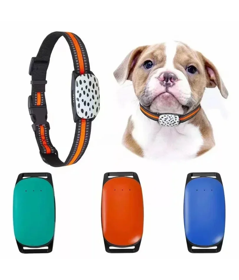 

4G GPS-трекер для домашних животных с SIM-картой, водонепроницаемый противоугонный трекер в реальном времени, ошейник для собак, бесплатное приложение слежения для собак, анти-потерянный локатор