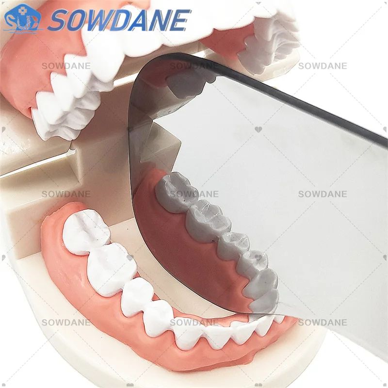 Double-Sides Dental Intraoral Occlusal Photographic Glass Mirror Oral Health Care Dental Orthodontic Mirrors Reflector