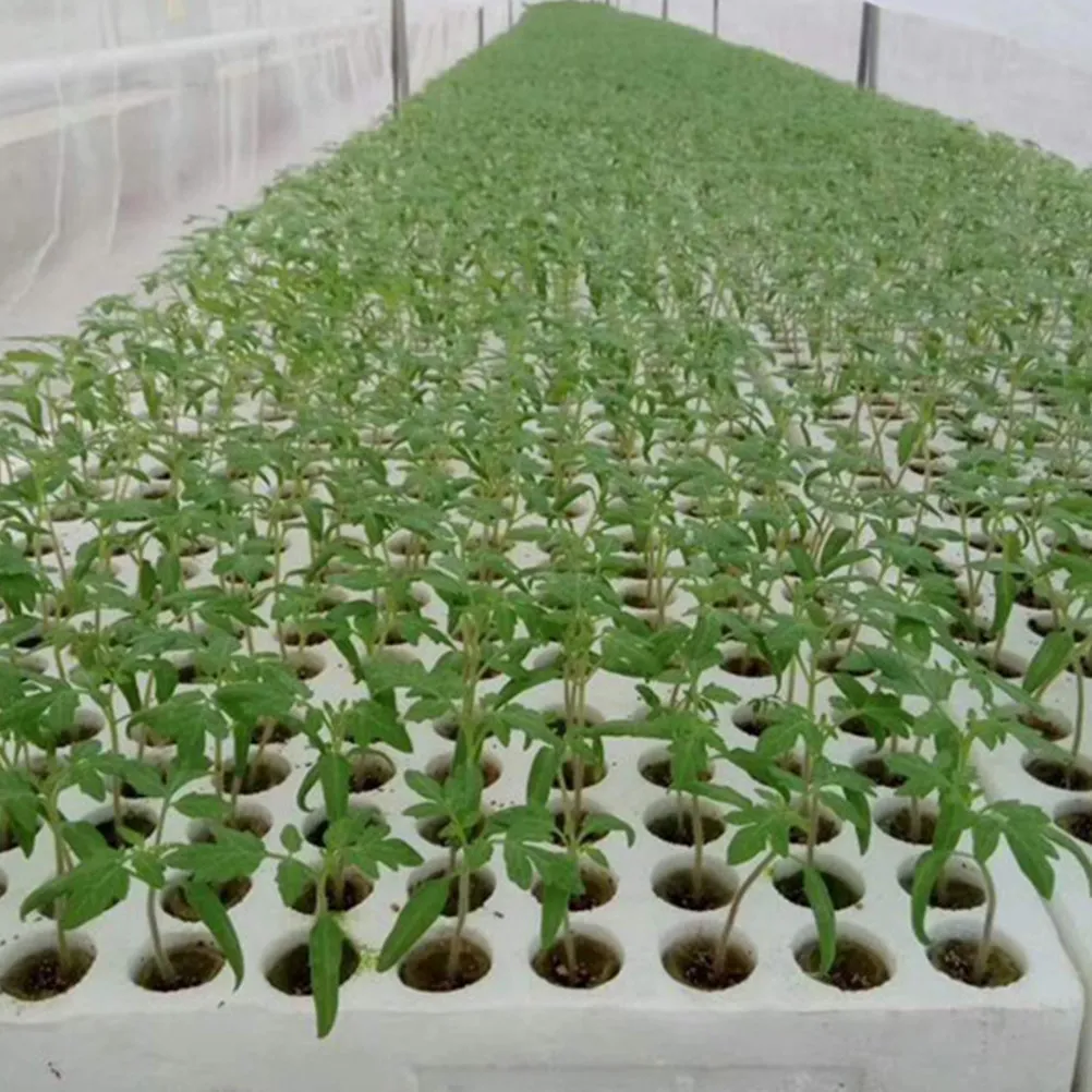 40Pcs Wool Starter Plugs Grow Wool Hydroponic Planting Blocks Soilless Culture Transplanting Plugs Gardening Supplies