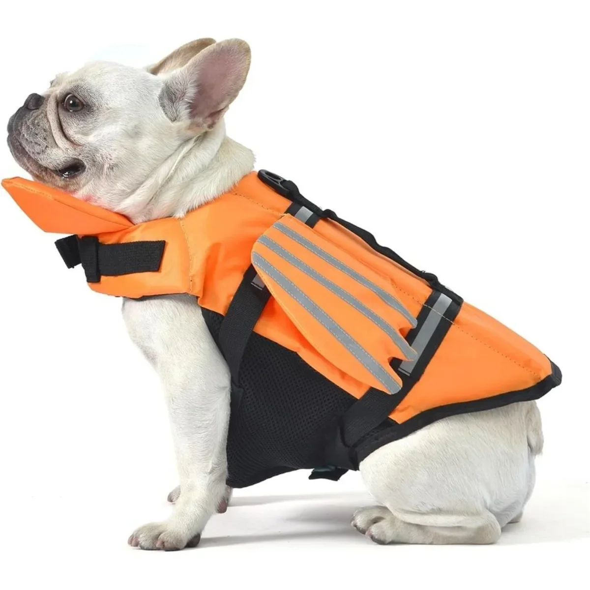 #36 Latest Dog Life Jackets Offers