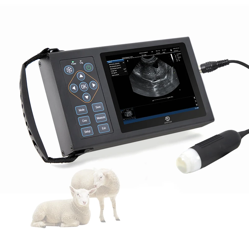 

Vet High Definition Ultrasonic Portable Cattle Diagnostic Machine For Animals Pet Veterinary Ultrasound Probe