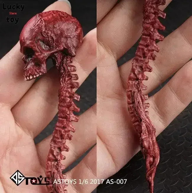 1/6 1/12 Zombie Skull Skeleton Alien Predator Props Scenes Accessories ASTOYS AS007 Fit for 6/12