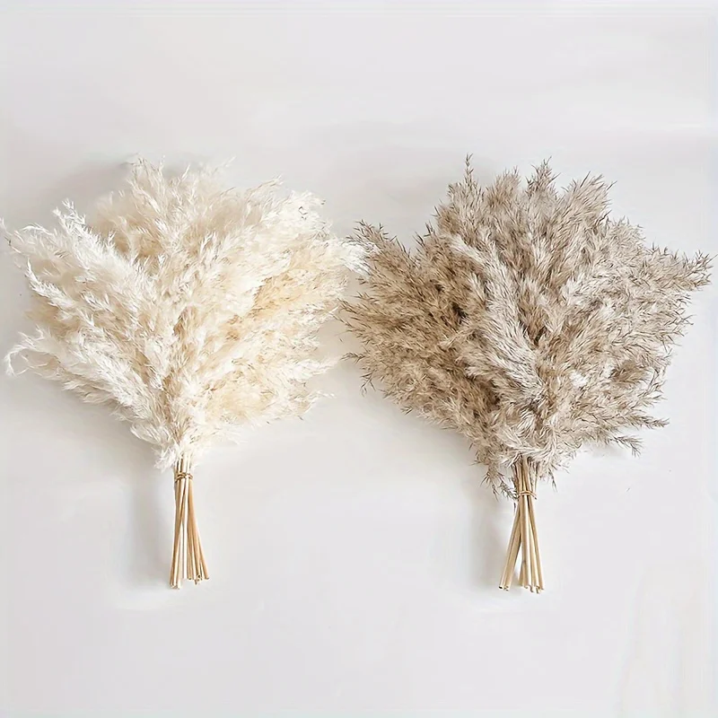 

10Pcs Mix and Match Fluffy Pampas Dried Flowers Bouquet Home Decor Natural Tail Grass Artifical Wedding Party Decorate