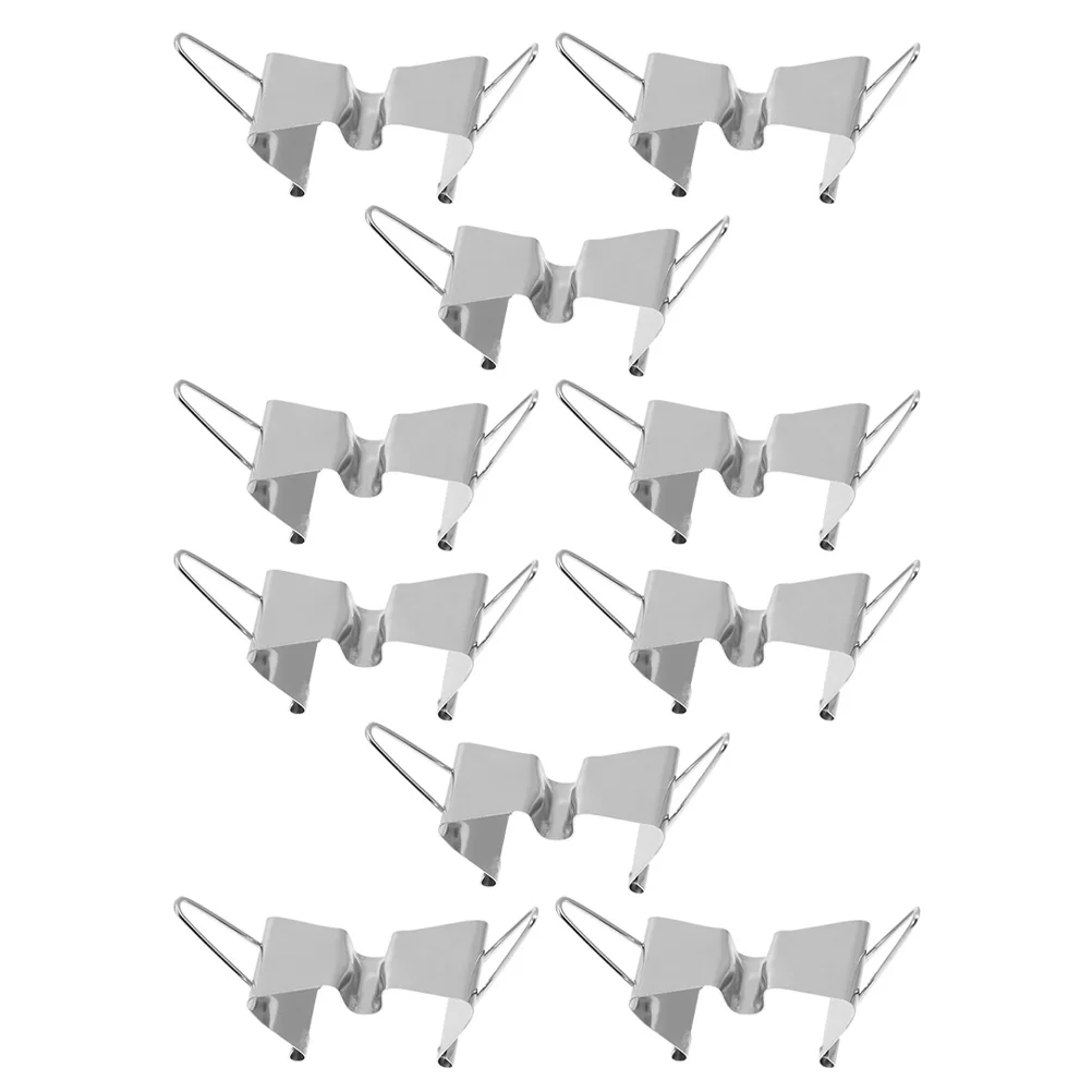 

10 Pcs Canvas Clip Picture Mounts for Frames Carriers Single Stainless Steel Curtain Clips Wet Holder Small Metal Clamps
