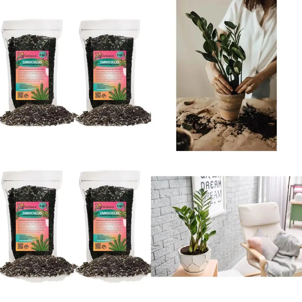 

Натуральный грунт для растений Zamioculcas объемом 10 кварт для здоровых и ярких растений