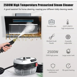 Steam Cleaner High Temperature Sterilization Car Steaming Cleaner Air Conditioning Kitchen Hood Home  110V US Plug /220V EU Plug