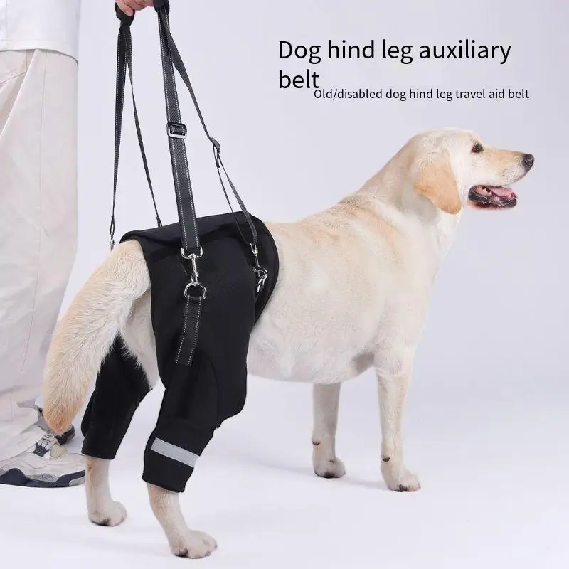 Thumbnail 2 - #4 Dog Seat Belts Comparison Guide