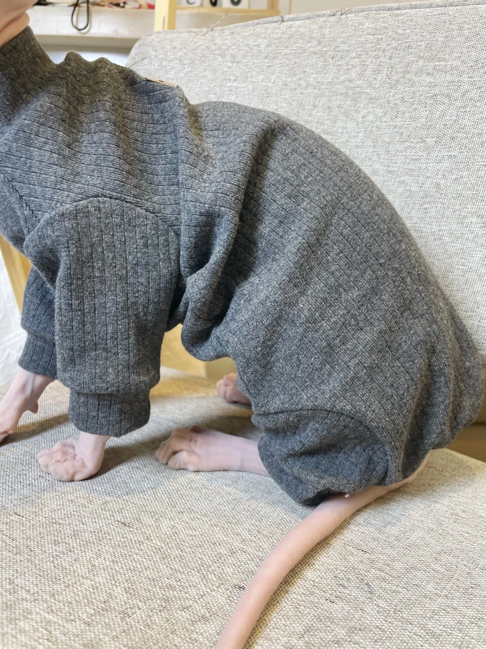 Dark Grey Elestic Cotton Jumpsuit for Hairless Cat Thick Soft Coat for Sphynx Cat Spring Loungewear For Kittens Dogs Pet Costume