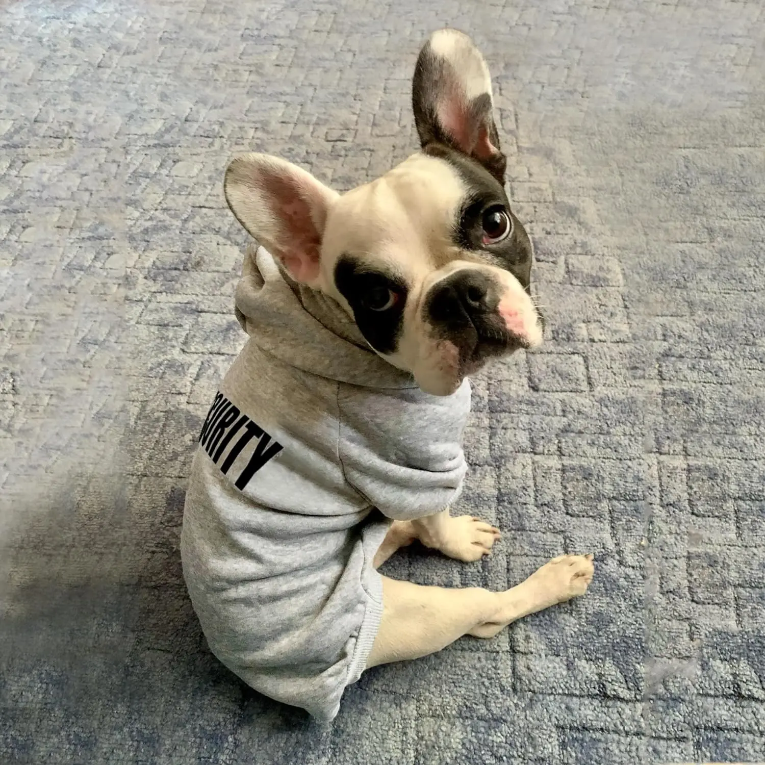 Ropa para mascotas, disfraz de Bulldog Francés, Mono para mascotas, Chihuahua, Pug, perros pequeños y medianos, sudaderas con capucha para cachorros