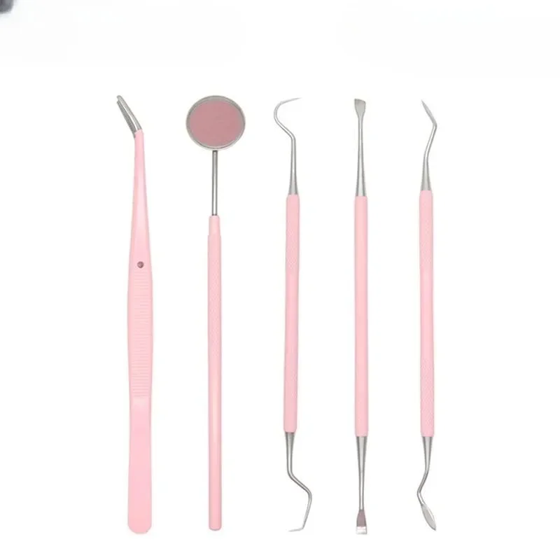 4/5/6PCS Rosa Edelstahl Dental Spiegel Dental Kit Für Frau Mundpflege