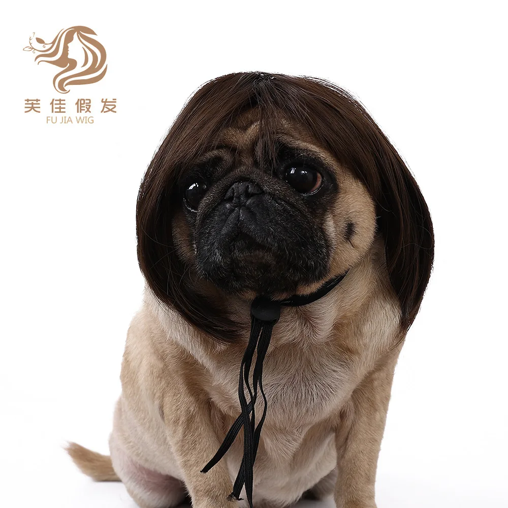 New Pet Wig Cat and Dog Universal Pet Supplies Halloween Pet Accessories Cute Straight Hair Bobo Head