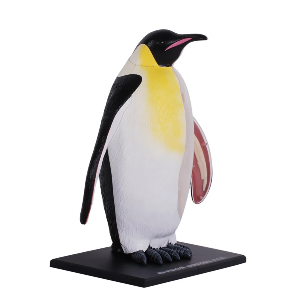 

4D MASTER Emperor Penguin Visceral Organ Dissection Model Animal Assembly Lifelike Structure Durable Material Toy Ornament Gifts