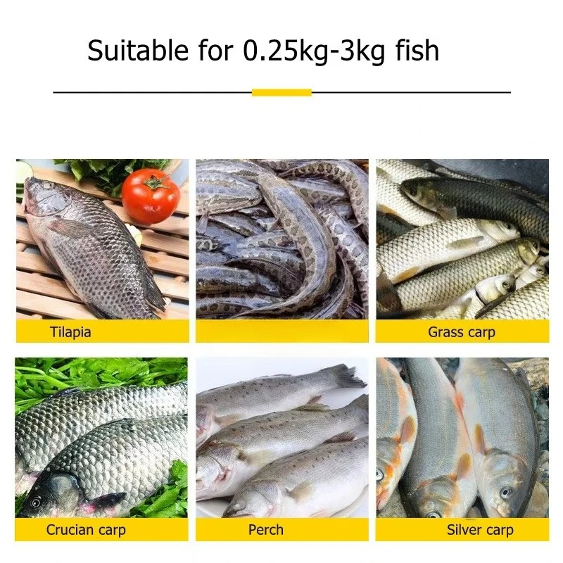 Fish Gutting and Descaling Machine Automatic Tilapia Fillet Bass Cutting Carp Killing Back Slitting Machine Visceral Machine