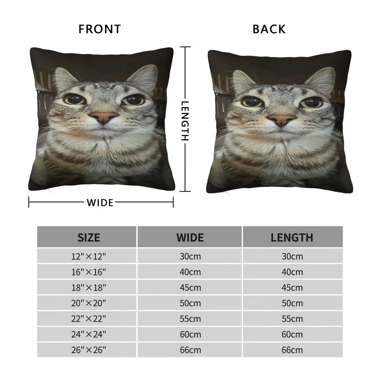 Cat Looking Directly At You Square Pillowcase Polyester Linen Velvet Creative Zip Decorative Bed Cushion Case 18