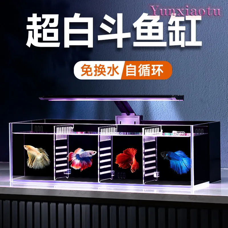 Ultra Clear Glass Betta Tank, Back Filter Multi-cell Isolation, Small Ecological Row Tank for Home Living Room
