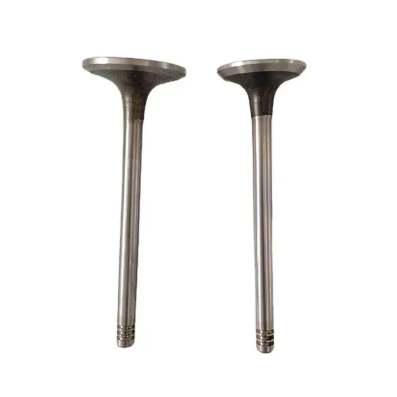 

Hot Sale Intake and Exhaust Valve for 2025 Diesel Engine