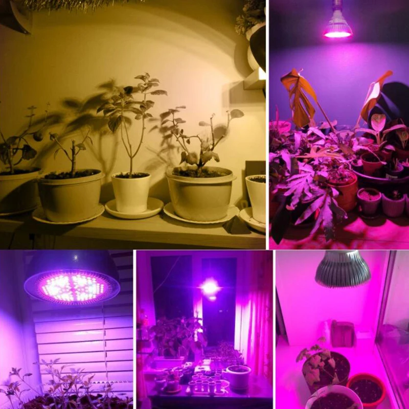 300W LED Grow Light Bulb E27 LED Plant Bulb 200 LEDs Sunlight Full Spectrum Indoor Flower Vegetables Seedling plant growth Lamp