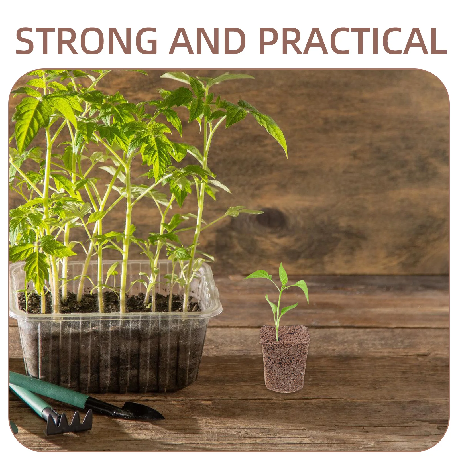 

40Pcs Seedlings Block Breathable Nutrient Blocks for Plant Nursery Cultivation Grow Starter Plugs Gardening Supplies