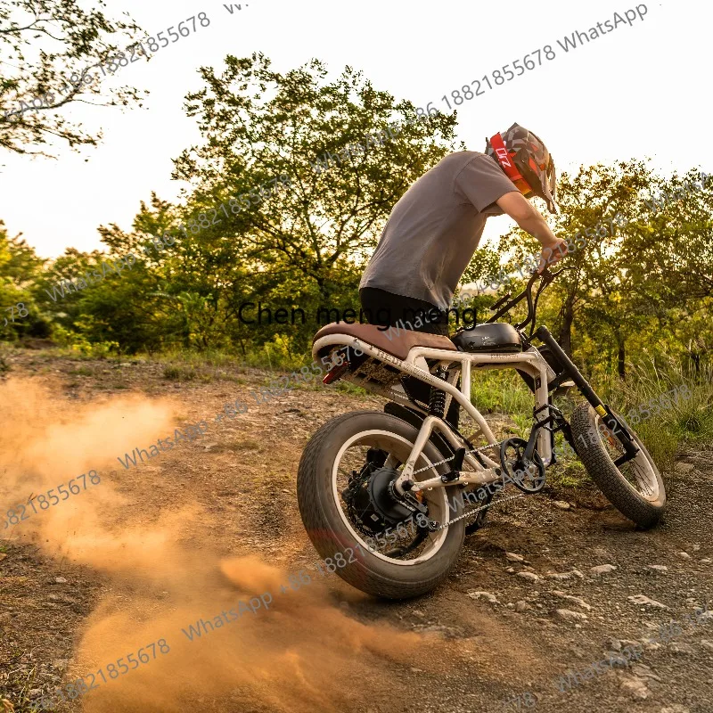 Shock Absorbing Fat Tire for Off Road Riding Vintage  Long Seat Turning Signal Sport Ebike for Mountain
