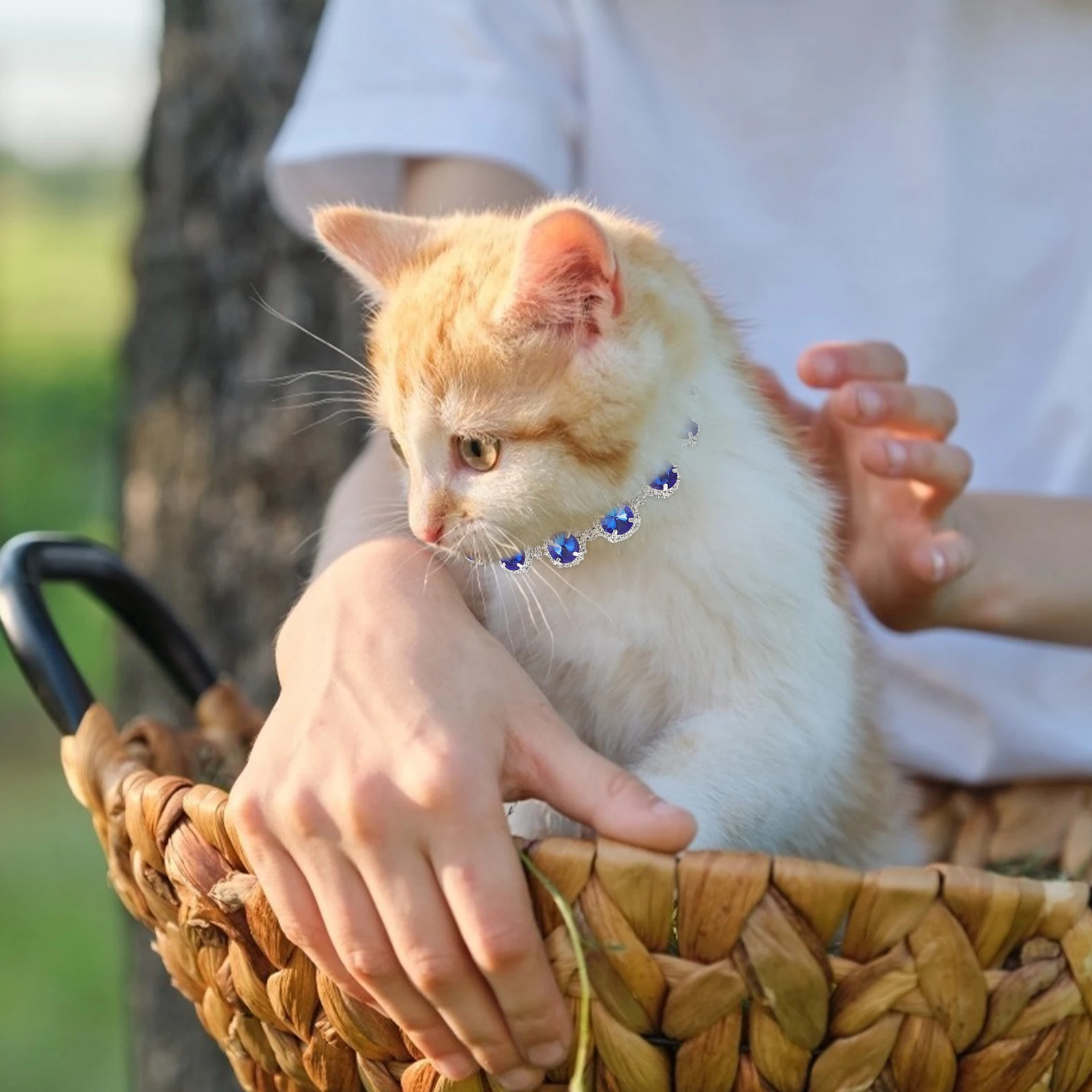 

Decorate Pet Necklace Kitten Collars for Dogs Rhinestones Puppy Training Adjustable