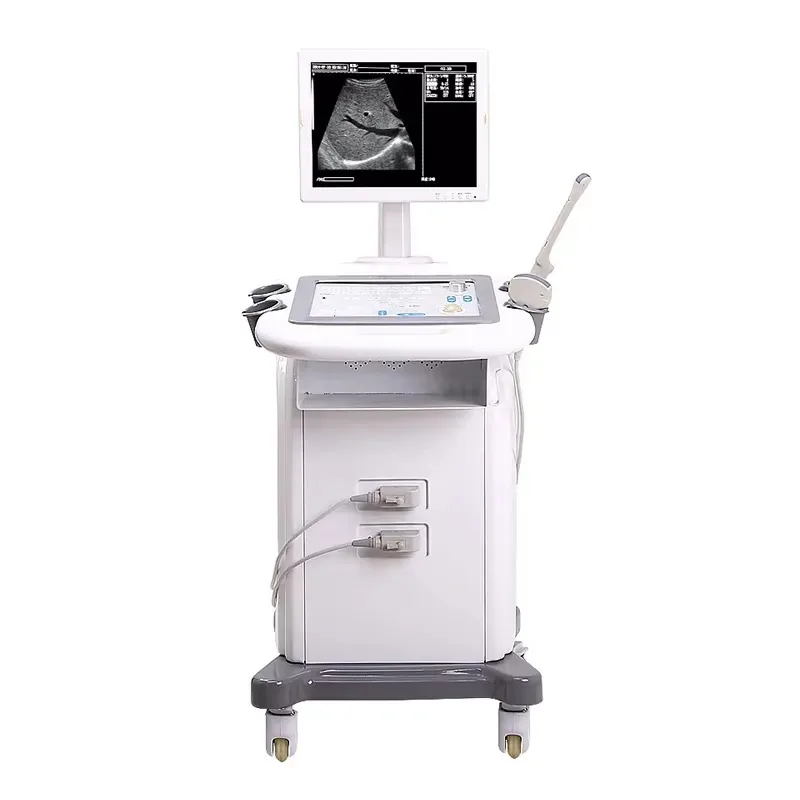SY-A019 Veterinary Equipment Pet Scanner Portable Pig Sheep Dog Machine for Vet