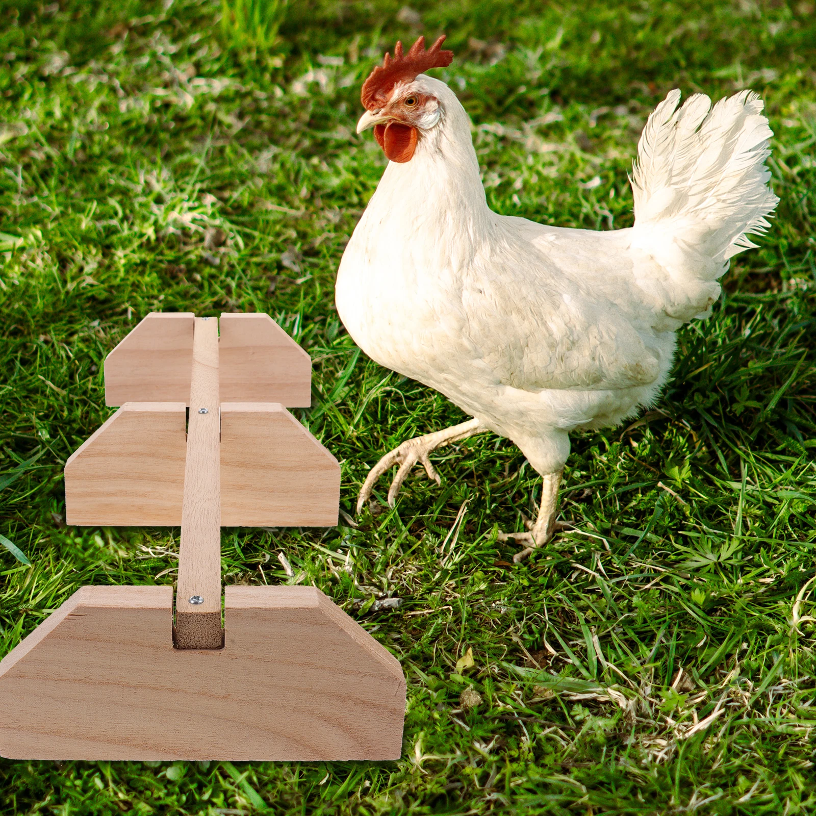 

Chicken Wood Stand Hen Perch Durable Sturdy Indoor Farmhouse Roosting Bar Bird Perch Medium Breeds Safe Long Lasting Not Fade