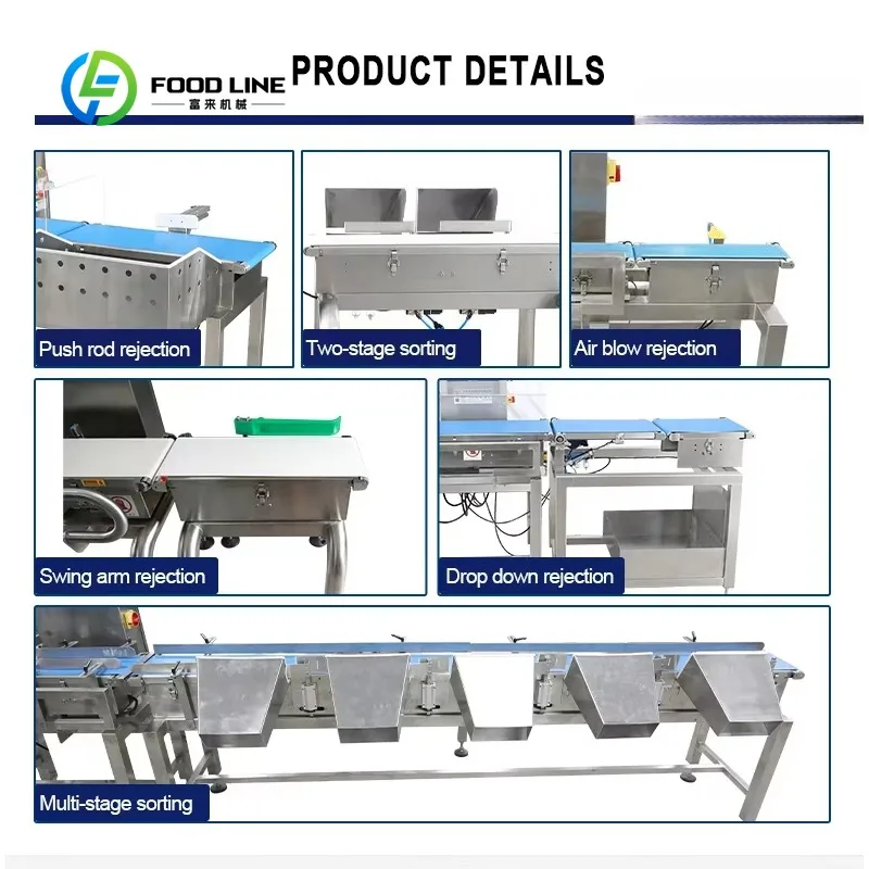 Customized Heavy Duty Fish Sorting Machine Multi Channel Weight Classification Tool Corrosion Resistant Seafood Processing Plant