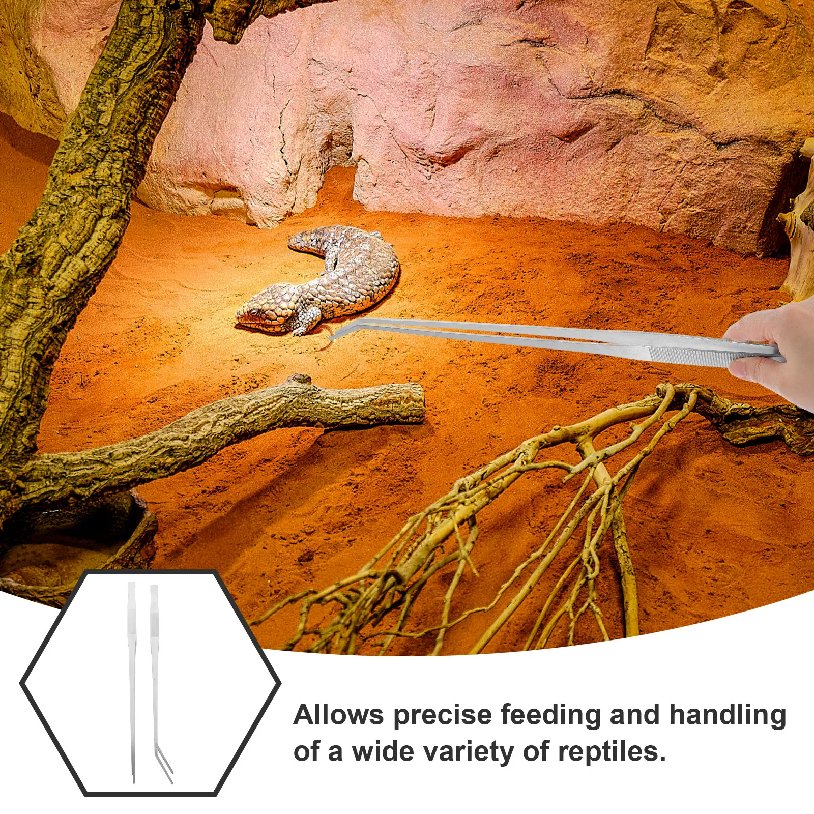 

2 шт. щипцы для кормления рептилий из нержавеющей стали с длинной ручкой, не повреждающие животных, для аквариумов и резервуаров с рыбами