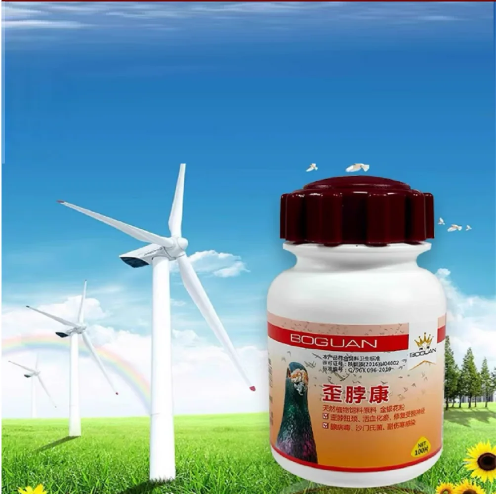 Pigeon de course Homing, tête tordue avec maladie de Newcastle, peste de pigeon