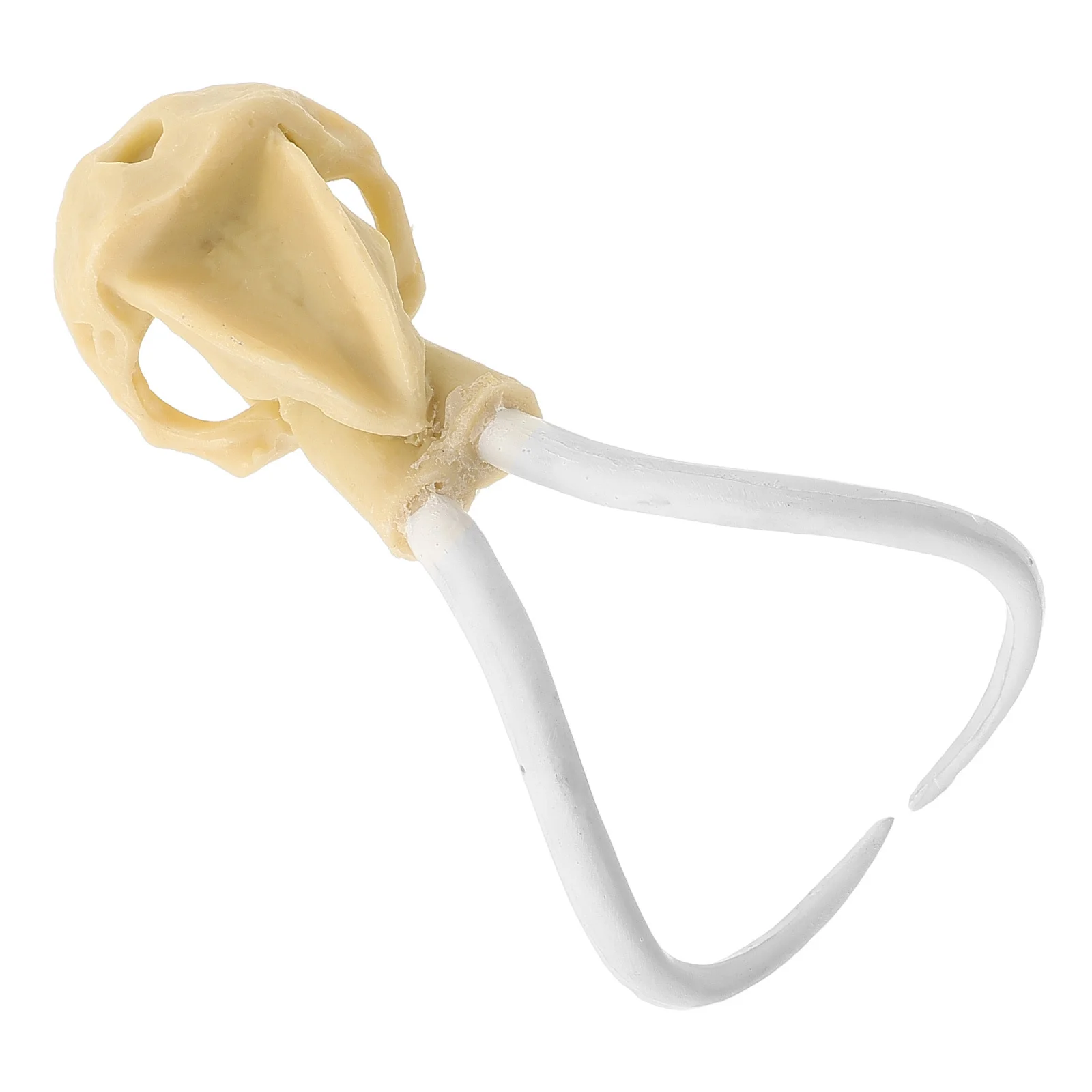 

1Pcs Resin Skull Fish Tank Aquarium Adornment Underwater Decor Lifelike Resin Craft Ornament for Aquarium Landscape