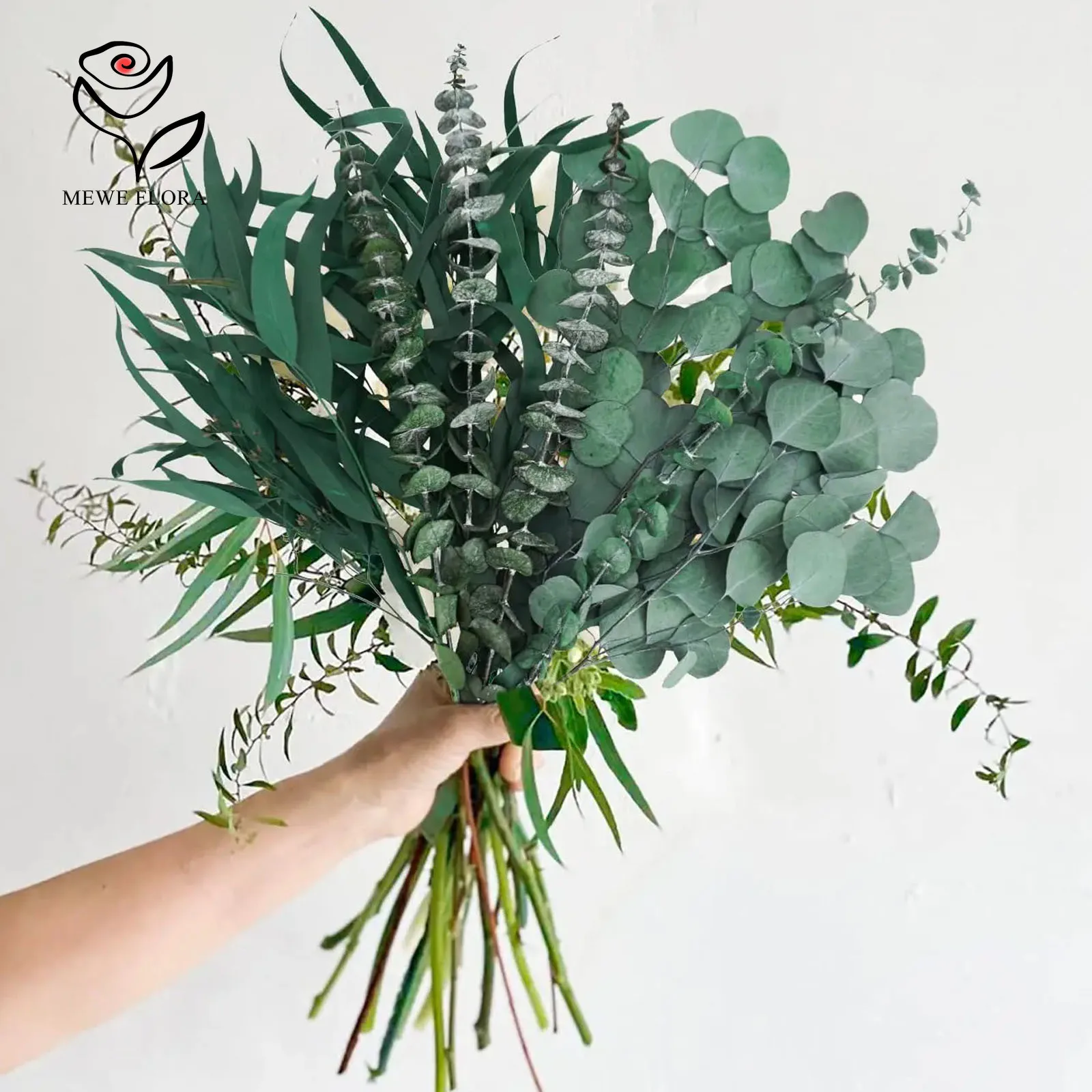 Dried Preserved Eucalyptus Leaves Natural Fresh Eucalyptus Plant Branches for Shower Bundle Vase Flowers Arrangement Home Decor