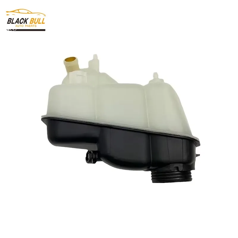 

2115000049 1675009900 1715000049 2025000249 Auto Parts Expansion Tank for Mercedes Benz C219 W S