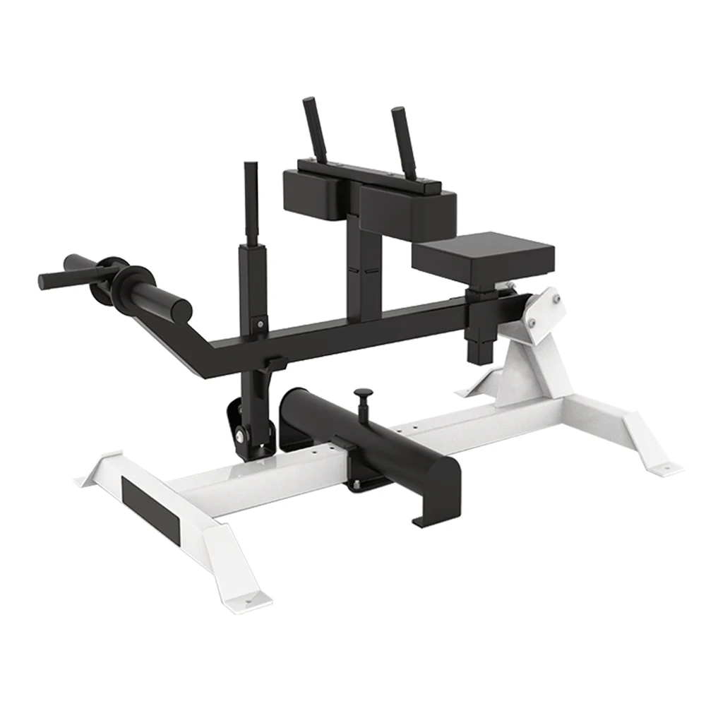 

Functional Gym Fitness Strength Plate Loaded Leg Exercise Hip Machine Integrated Gym Trainer Hip Belt Squat Machine 1