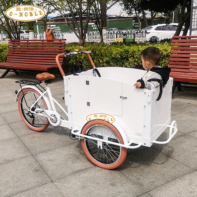 Bicycle With Cargo Box New Design Bike Electric Modern 3 Wheel Tricycle