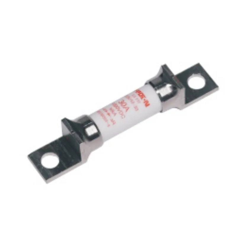 Fusibile DC500V10A EVU5.0-10A Fusibile per auto elettrica per PDU